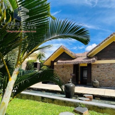 Kết hợp bê tông nhẹ trong thi công Bungalow tại Đà Nẵng – Hiệu quả thực tế